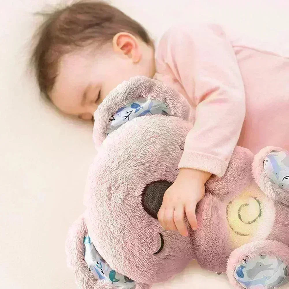 Koala do Sono